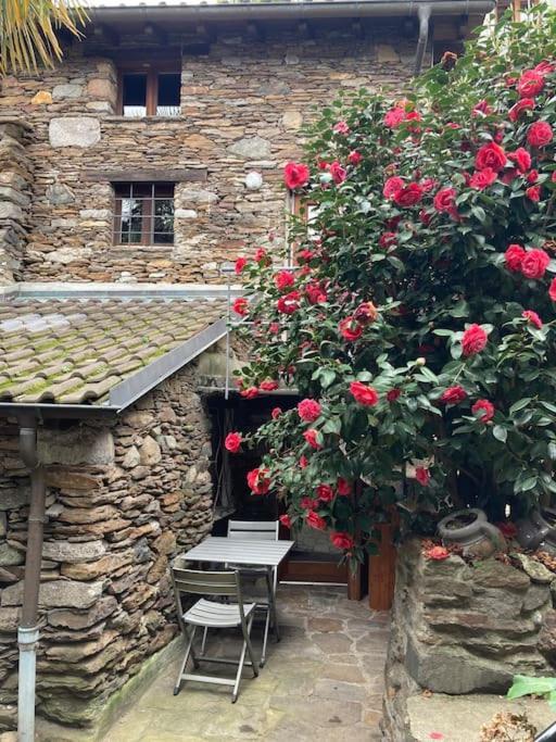 Casa de Férias In Our Little Nest Brissago